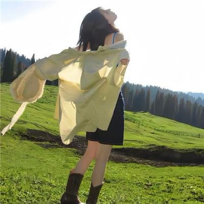 胭脂虎新传